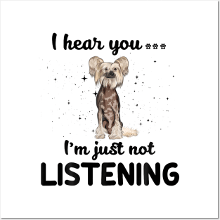 Chinese Crested I hear you ... I am just not listening Posters and Art